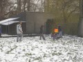 Afbeelding 103